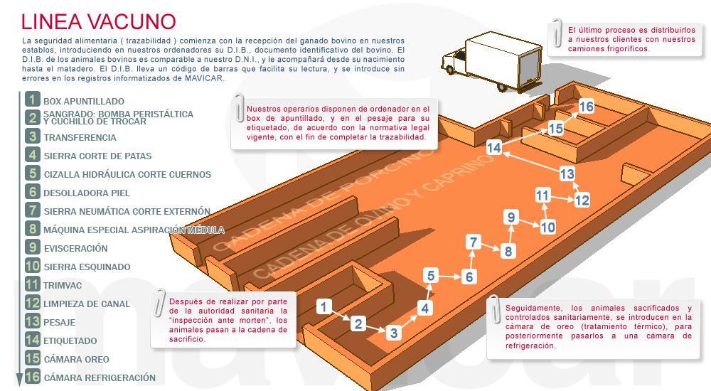Línea de vacuno de Mavicar matadero del polígono de las Arobias en Avilés