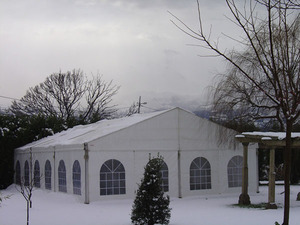 Carpas especiales