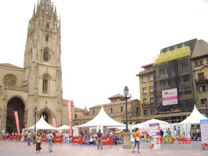 Carpas especiales