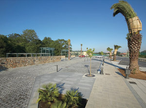 Sardesa Polígono Industrial Espiritu Santo