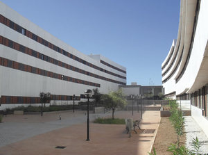 Sardesa Polígono Industrial Espiritu Santo