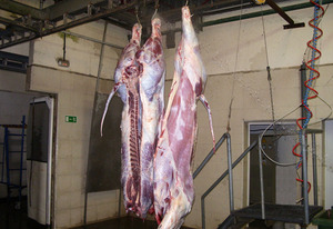 LIMPIEZA DE CANAL Mavicar matadero del polígono de las Arobias en Avilés