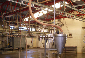 MÁQUINA ASPIRACIÓN MÉDULA Mavicar matadero del polígono de las Arobias en Avilés