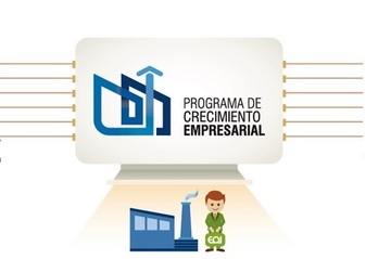 PROGRAMA DE CRECIMIENTO EMPRESARIAL
