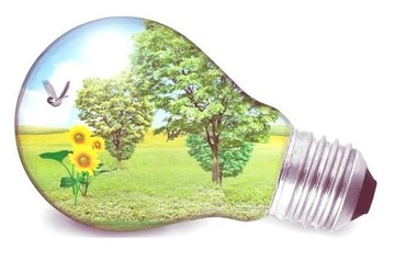 DÍA MUNDIAL DE LA EFICIENCIA ENERGÉTICA
