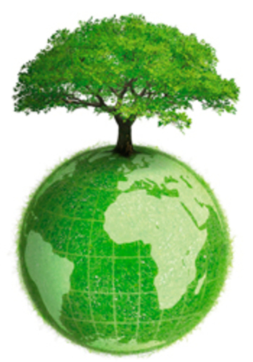 Medioambiente