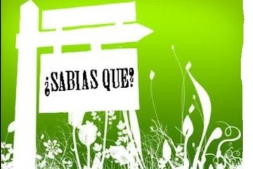 40 DATOS Y CURIOSIDADES