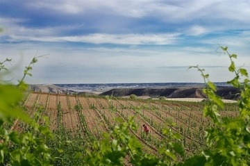 AYUDAS DESARROLLO RURAL 2014-2020