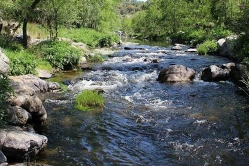 DIA INTERNACIONAL POR LOS RIOS