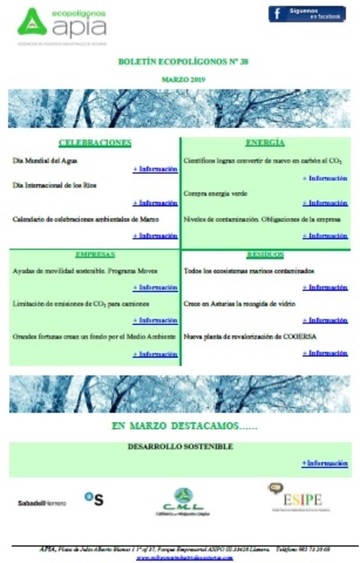 Boletín Ecopolígonos Nº 38