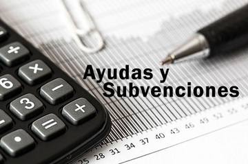 AYUDAS A PROYECTOS DE INVERSIÓN AYUDAS A PROYECTOS DE INVERSIÓN