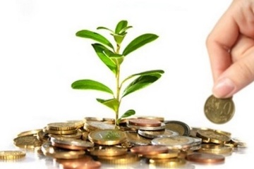 AYUDAS A LA CREACIÓN DE EMPLEO AYUDAS A LA CREACIÓN DE EMPLEO