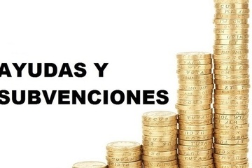 BASE DE DATOS DE AYUDAS Y SUBVENCIONES
