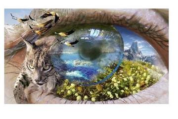 25 CURIOSIDADES DE LA NATURALEZA 25 CURIOSIDADES DE LA NATURALEZA