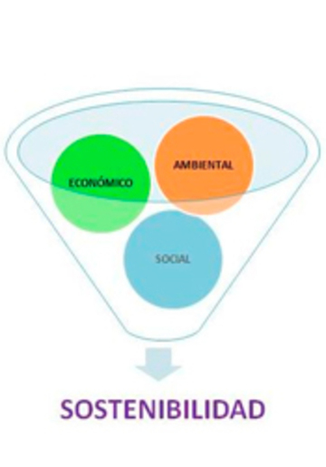 Sostenibilidad Económica de las Áreas Empresariales Sostenibilidad Económica de las Áreas Empresariales