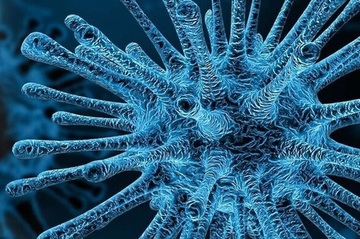 INFORMACIÓN OFICIAL SOBRE EL CORONAVIRUS INFORMACIÓN OFICIAL SOBRE EL CORONAVIRUS