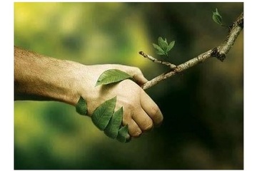 CAMBIO CLIMÁTICO Y TRANSICIÓN ENERGÉTICA CAMBIO CLIMÁTICO Y TRANSICIÓN ENERGÉTICA