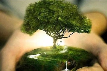 DÍA MUNDIAL DEL MEDIO AMBIENTE DÍA MUNDIAL DEL MEDIO AMBIENTE