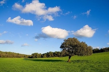 DÍA INTERNACIONAL DEL AIRE LIMPIO DÍA INTERNACIONAL DEL AIRE LIMPIO