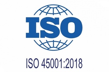 CALIDAD EN SEGURIDAD Y SALUD EN EL TRABAJO CALIDAD EN SEGURIDAD Y SALUD EN EL TRABAJO