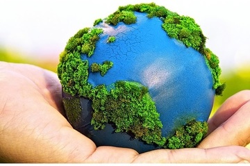 DÍA MUNDIAL DEL MEDIO AMBIENTE DÍA MUNDIAL DEL MEDIO AMBIENTE