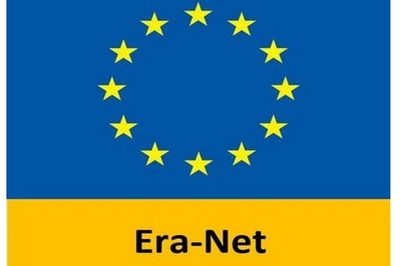 AYUDAS PARA I+D+i EN COOPERACIÓN INTERNACIONAL AYUDAS PARA I+D+i EN COOPERACIÓN INTERNACIONAL