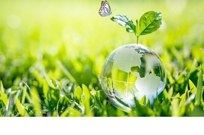 DÍA DE LA MADRE TIERRA