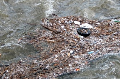 LÍMITES PARA LOS CONTAMINANTES ORGÁNICOS EN RESIDUOS