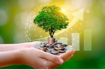 LA ECONOMÍA VERDE