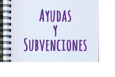 BUSCADOR DE AYUDAS Y SUBVENCIONES BUSCADOR DE AYUDAS Y SUBVENCIONES