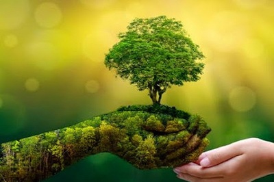 DÍA MUNDIAL DEL MEDIO AMBIENTE DÍA MUNDIAL DEL MEDIO AMBIENTE