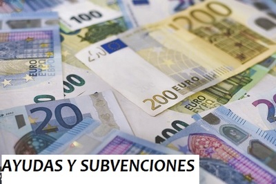 AYUDAS PARA CONTRATACIÓN DE DESEMPLEADOS AYUDAS PARA CONTRATACIÓN DE DESEMPLEADOS