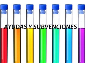 AYUDAS AL FOMENTO DE LA CULTURA CIENTÍFICA, TECNOLÓGICA Y DE LA INNOVACIÓN