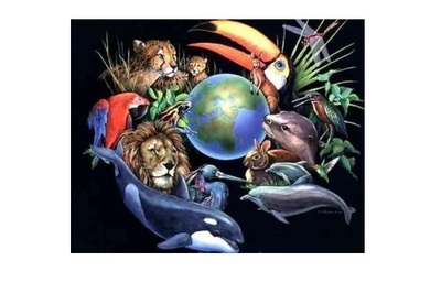 DÍA MUNDIAL DE LA MADRE TIERRA