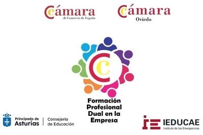 LOS EMPRESARIOS DEL POLIGONO ESPÍRITU SANTO FRENTE AL RETO DE LA NUEVA FORMACIÓN PROFESIONAL