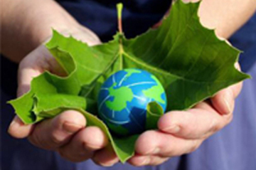EL EMPLEO VERDE, UN FUTURO CIERTO