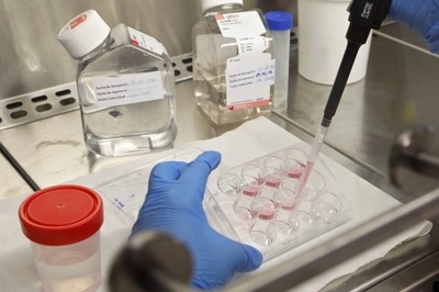 AYUDAS AL FOMENTO DE LA CULTURA CIENTÍFICA, TECNOLÓGICA Y DE LA INNOVACIÓN