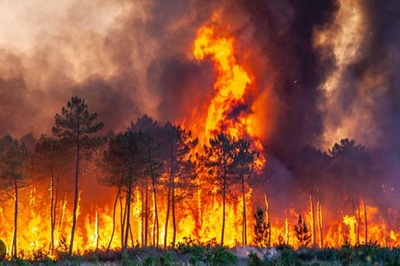 DÍA MUNDIAL DE PREVENCIÓN DE INCENDIOS FORESTALES