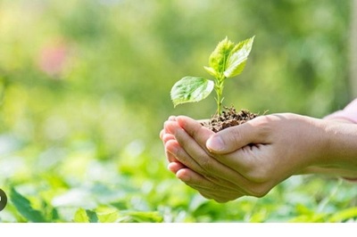 RENOVACIÓN DEL CONSEJO DE MEDIO AMBIENTE DE CARREÑO RENOVACIÓN DEL CONSEJO DE MEDIO AMBIENTE DE CARREÑO