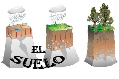 DÍA MUNDIAL DEL SUELO DÍA MUNDIAL DEL SUELO