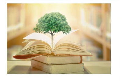 DÍA MUNDIAL DE LA EDUCACIÓN AMBIENTAL
