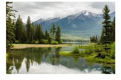 DÍA MUNDIAL DE PROTECCIÓN DE LA NATURALEZA