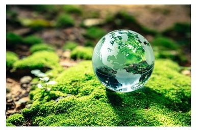 DÍA MUNDIAL DEL MEDIO AMBIENTE
