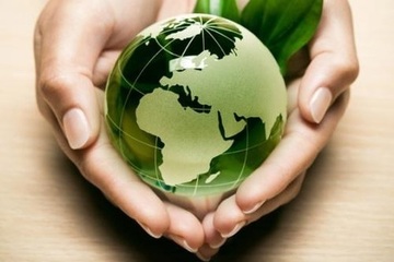 LA RESPONSABILIDAD AMBIENTAL DE LA EMPRESA LA RESPONSABILIDAD AMBIENTAL DE LA EMPRESA