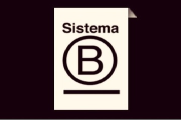 LAS EMPRESAS "B"  UNA NUEVA FORMA DE ENTENDER LOS NEGOCIOS