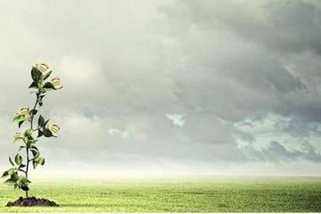 SISTEMA DE GESTIÓN MEDIOAMBIENTAL (SGMA) SISTEMA DE GESTIÓN MEDIOAMBIENTAL (SGMA)