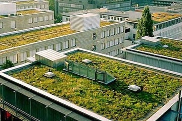 LA LEGISLACIÓN FRANCESA OBLIGA A TENER TECHOS ECOLÓGICOS