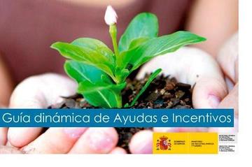 GUÍAS DINÁMICAS DE AYUDAS E INCENTIVOS PARA EMPRESAS