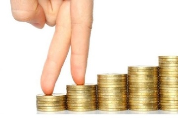 Sostenibilidad Económica de las Áreas Empresariales